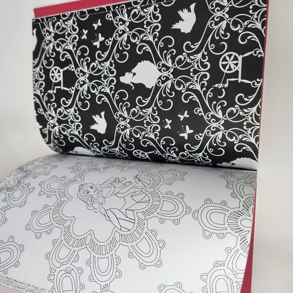 Art Therapy: Disney Princess: 100 Images to Inspire Creativity and Relaxation - Picture 5 of 12